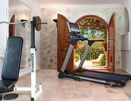 Villa Luxery Mavi Koy In *