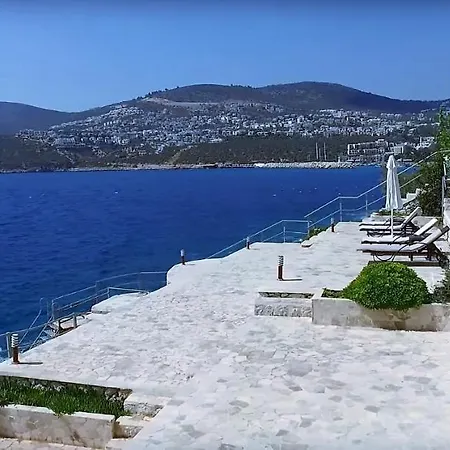 Luxery Mavi Koy In