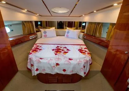 Luxery Mavi Koy In *