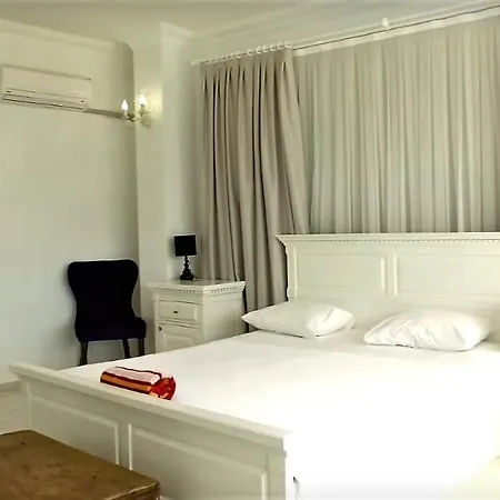 Villa Luxery Mavi Koy In *