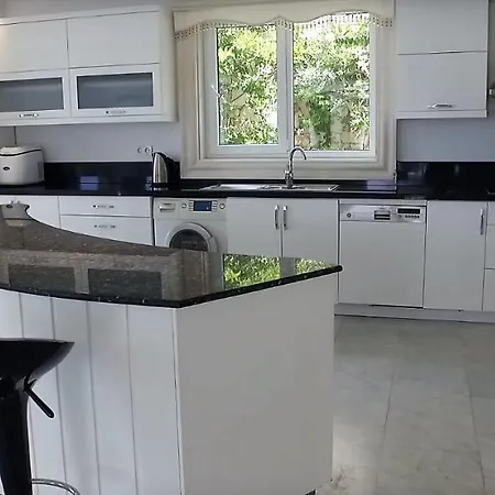 Villa Luxery Mavi Koy In *